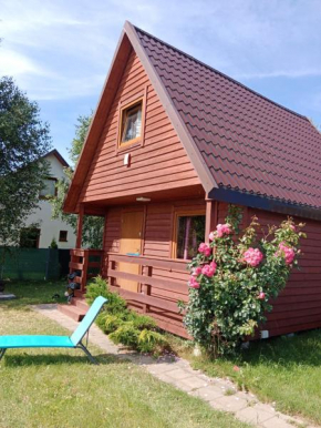Bursztynowa plaża
